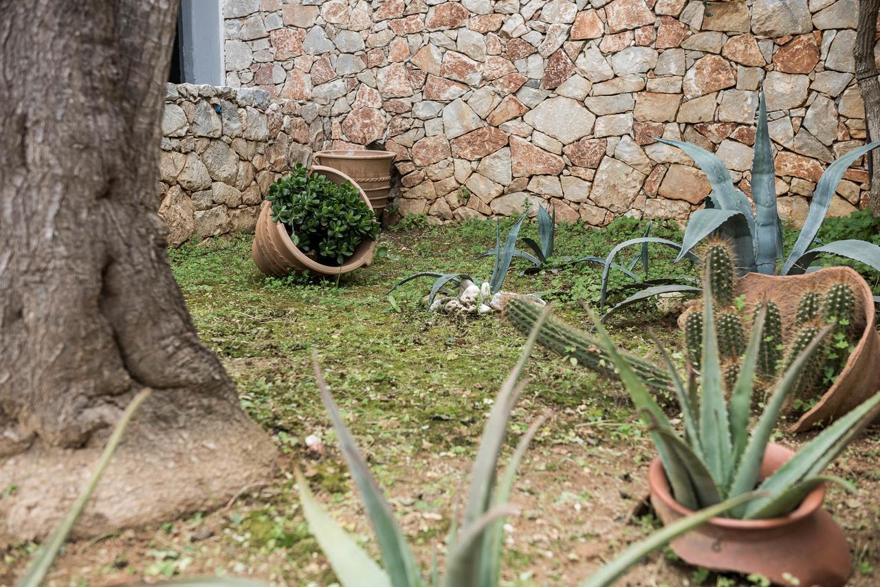 Zen Serenity Retreat With Great Outdoors, Pool & Parking Aptera Eksteriør bilde